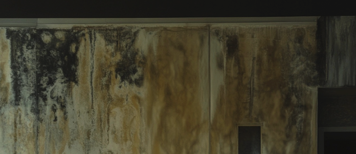 mold on a wall